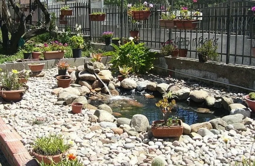 Un esempio di un piccolo laghetto da giardino