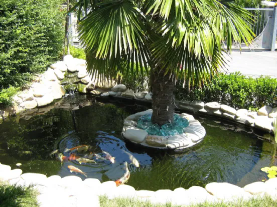 laghetto artificiale in stile tropicale