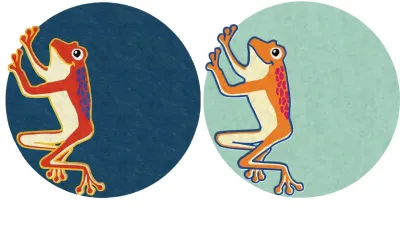 Tappeto The Frog, Un Tapis à Paris