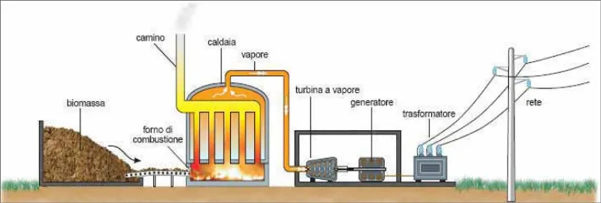 Impianto a biomassa per la produzione di energia elettrica