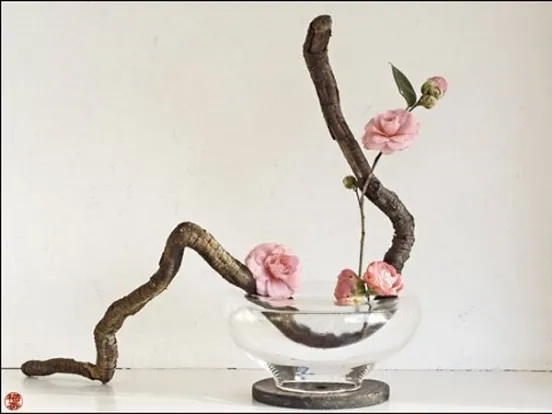 ikebana