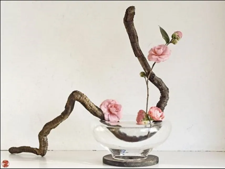 ikebana