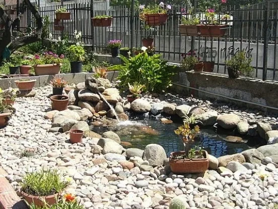 Un esempio di un piccolo laghetto da giardino