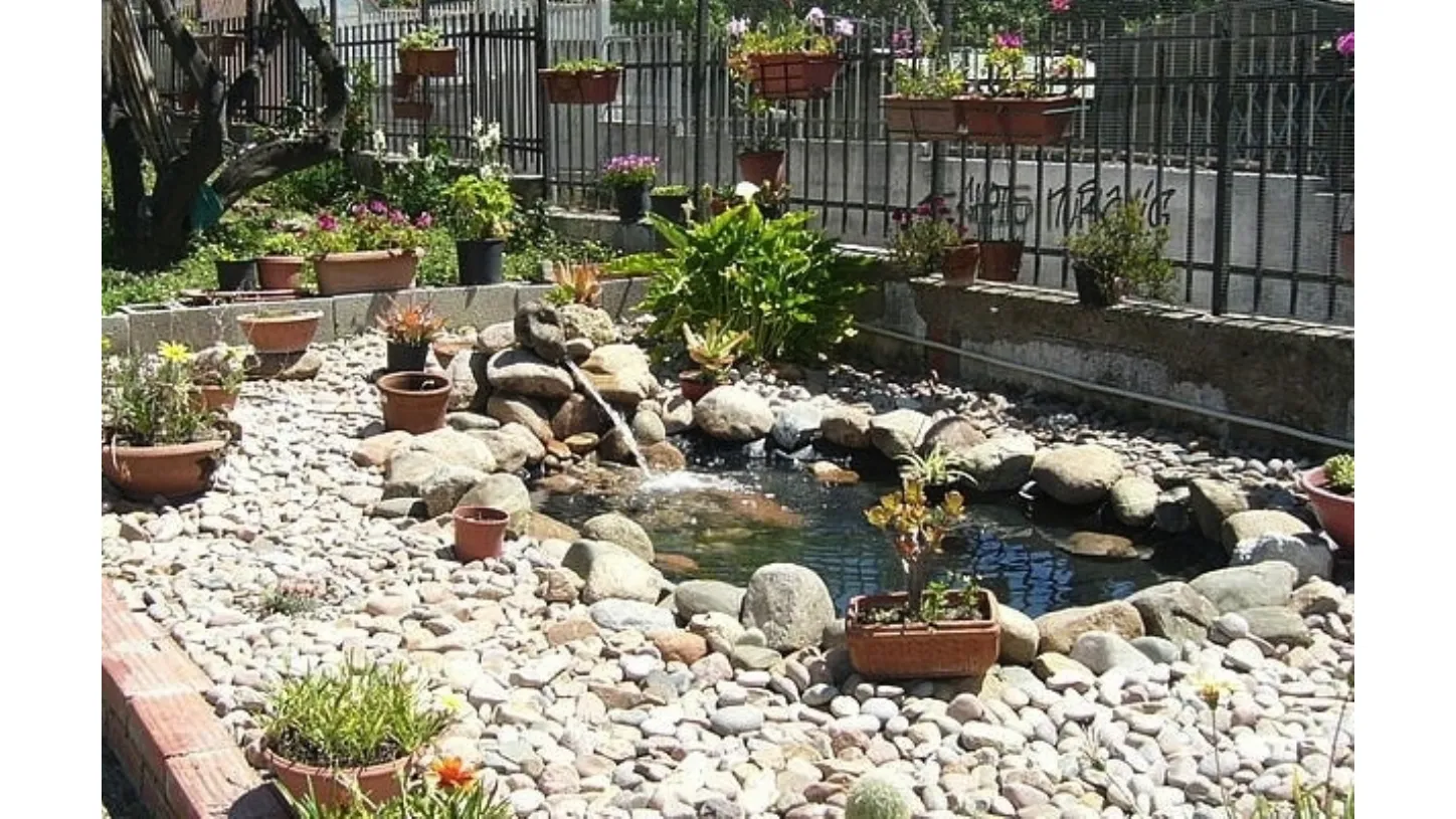 Un esempio di un piccolo laghetto da giardino