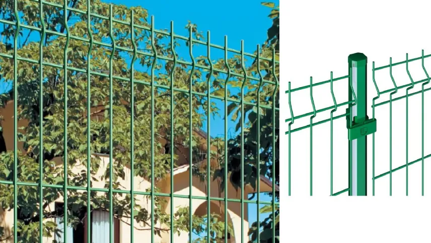 Panoplax del Gruppo Cavatorta