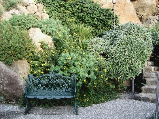 giardino roccioso