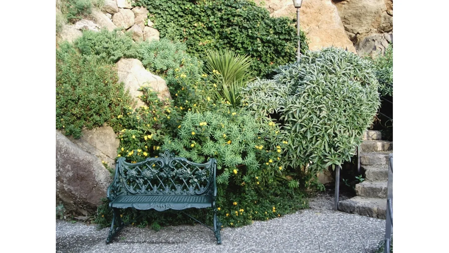 giardino roccioso