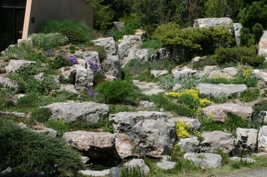 esempio di giardino roccioso