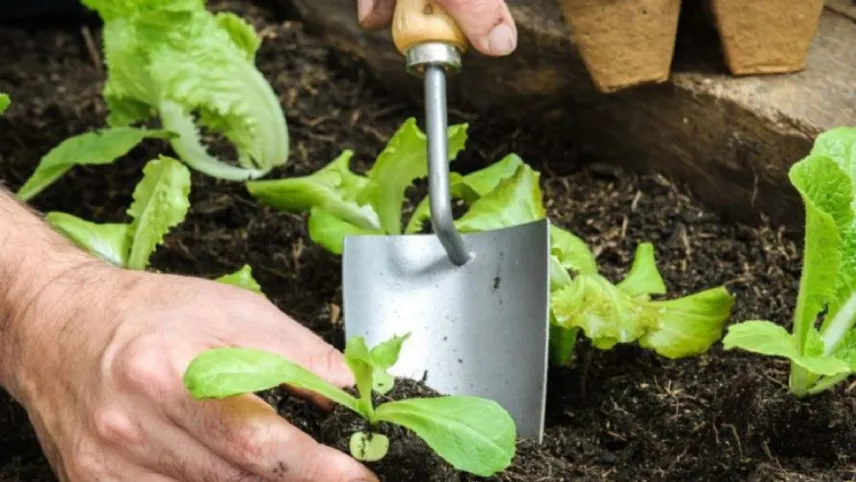 Il terriccio per l'orto sul terrazzo