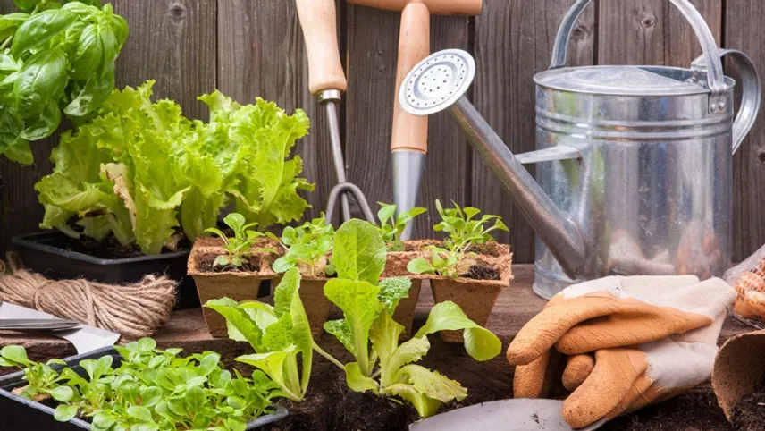 Un orto sul tuo terrazzo