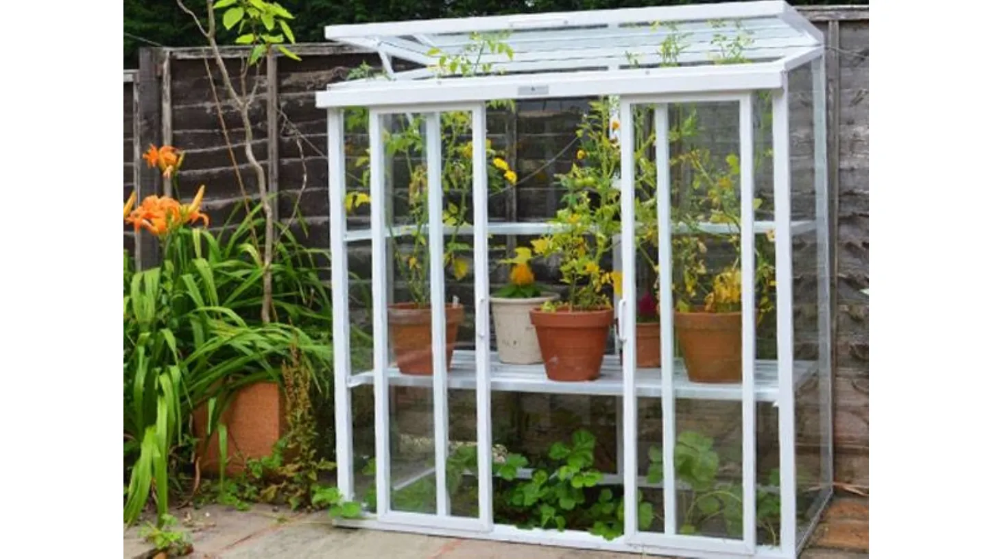 Serra da balcone Patio di Hartley Botanic Glasshouse