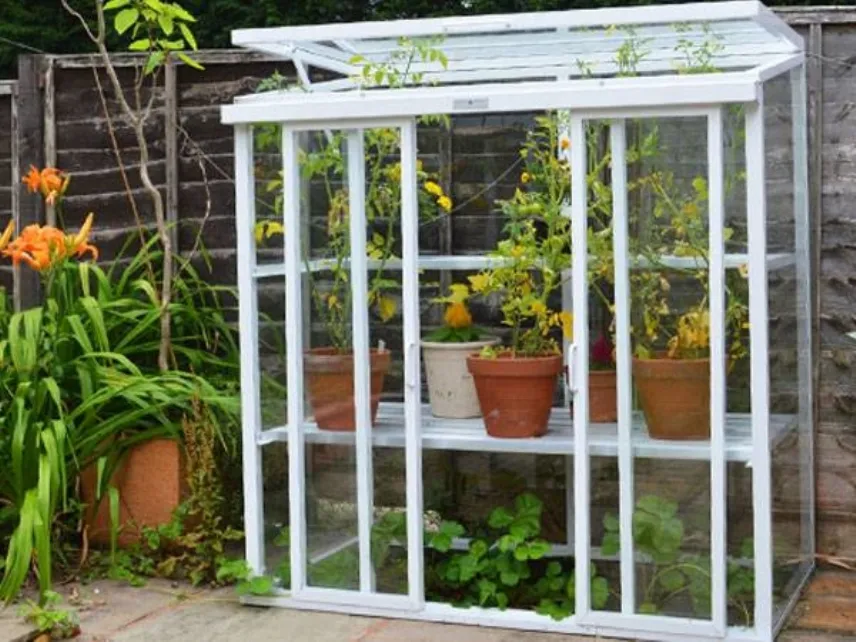 Serra da balcone Patio di Hartley Botanic Glasshouse