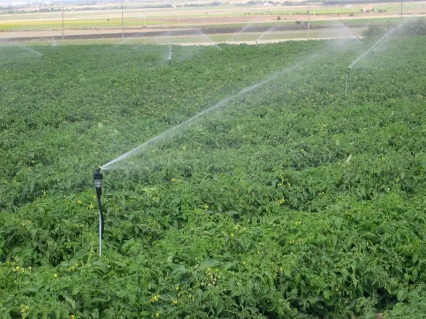 irrigazione per aspersione