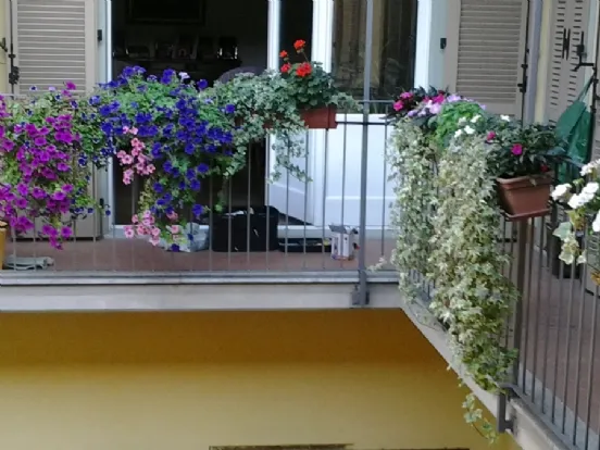 balcone con microirrigazione