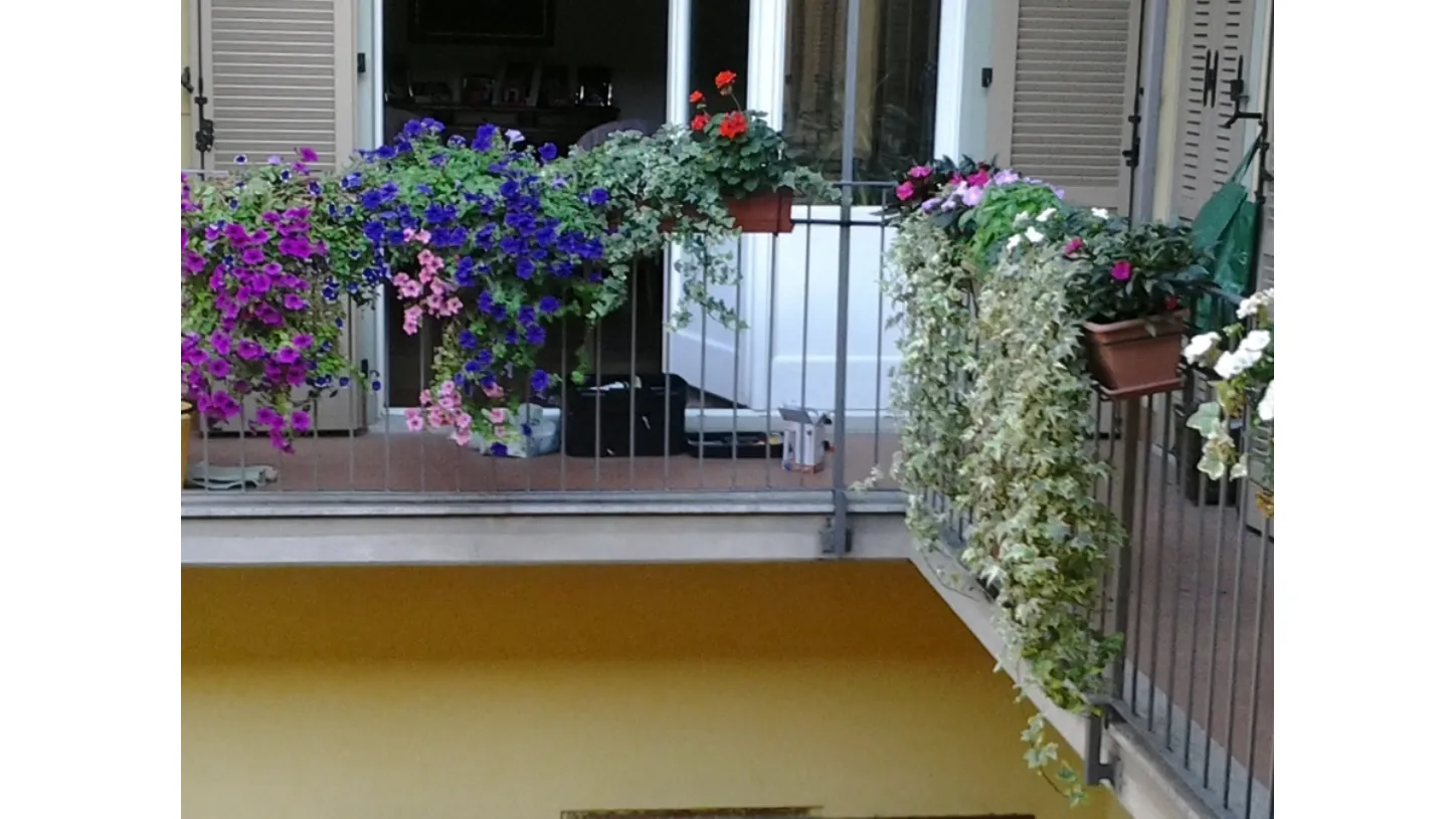 balcone con microirrigazione