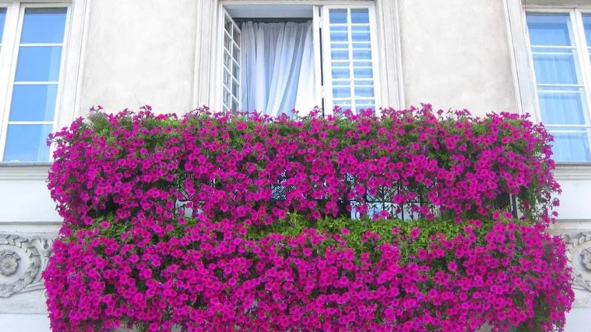 arredo giardino con cuscini colorati