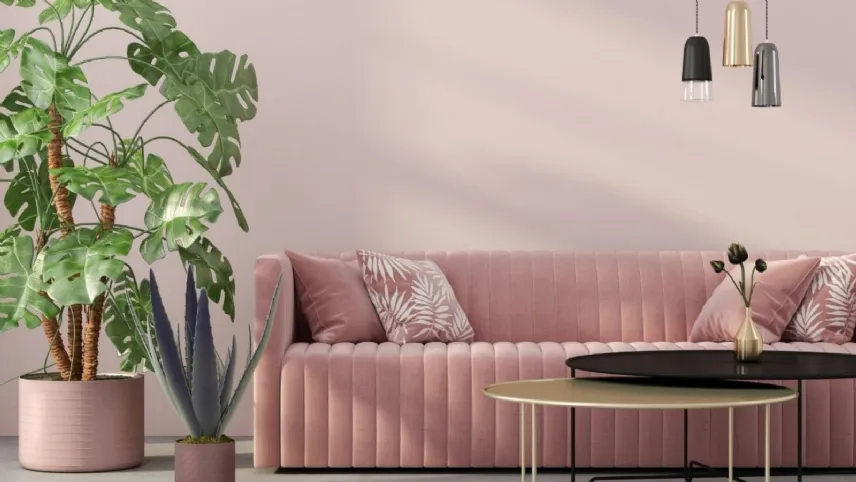Home Color di MaxMeyer
