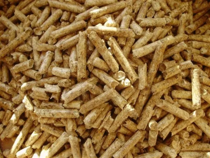 pellets