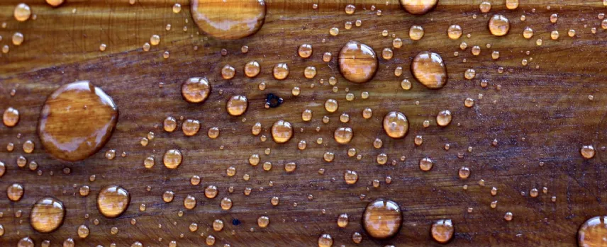 Proteggere ogni tipo di parquet dall'acqua