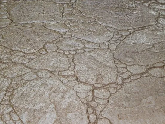 Pavimento in cemento stampato